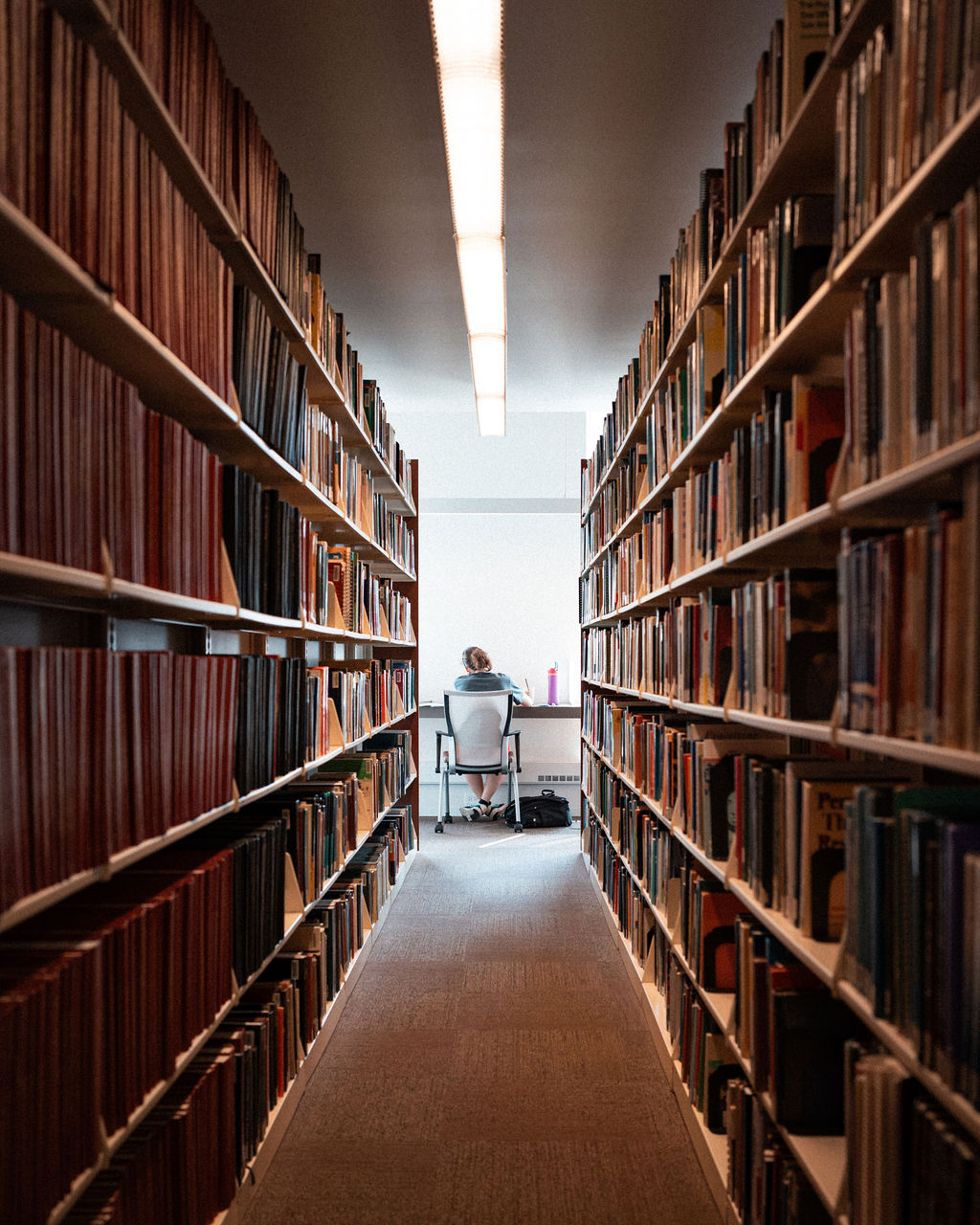 Shelves in the library at Adler University's Chicago Campus.